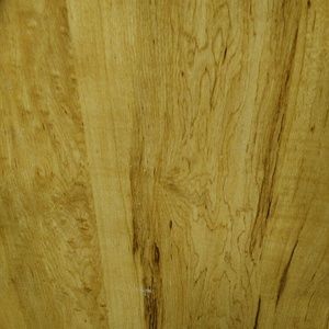 Meet your Posher, Tricia